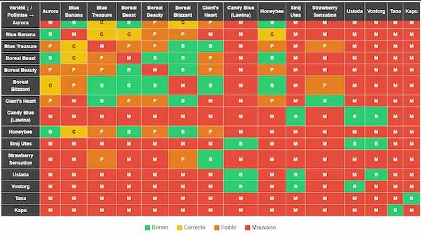 Camerisier AURORA ® en Godet