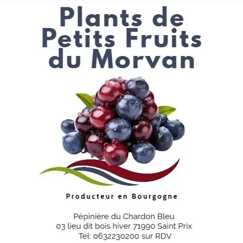 <img src="/wa_res/images/normal/logo_pepiniere_du_chardon_bleu_(2).webp?t=48aa7f7a_95ae_4ae3_8b88_8cfb41e3da30" alt="Logo de la pépinière du Chardon Bleu - producteur de camerisiers">